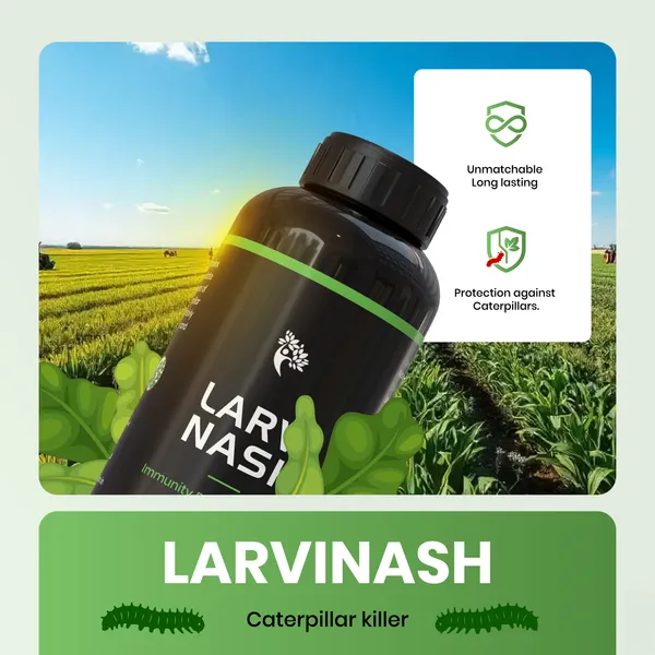 LarviNash_-_(500Ml)