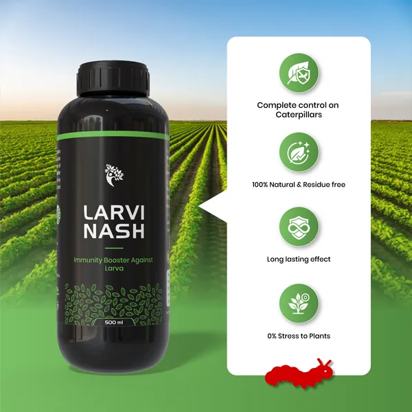 LarviNash_-_(500Ml)