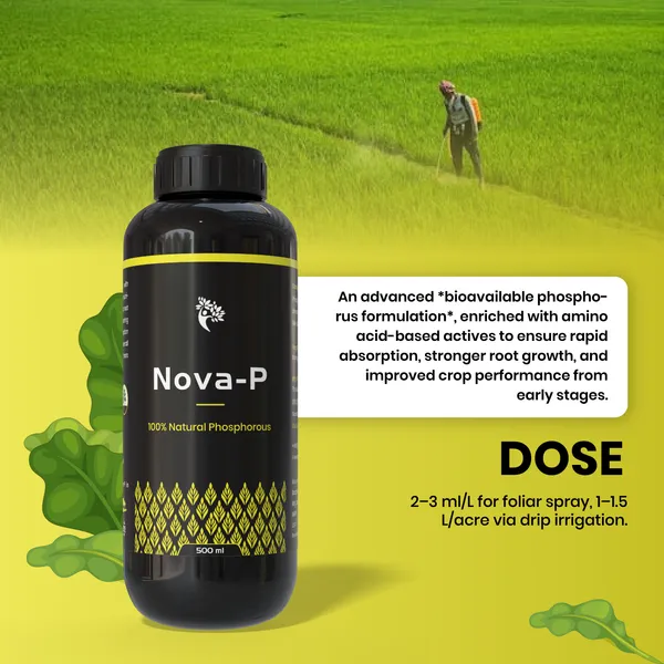 Nova-P-_Liquid_Phosphorours_(500Ml)