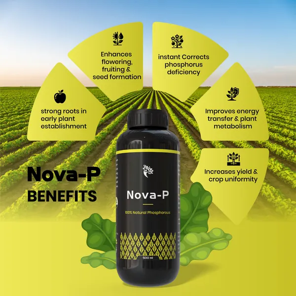 Nova-P-_Liquid_Phosphorours_(500Ml)