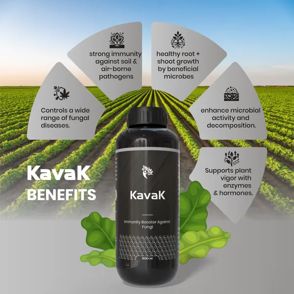 Kavak_-_Natural_Fungicide_(500Ml)