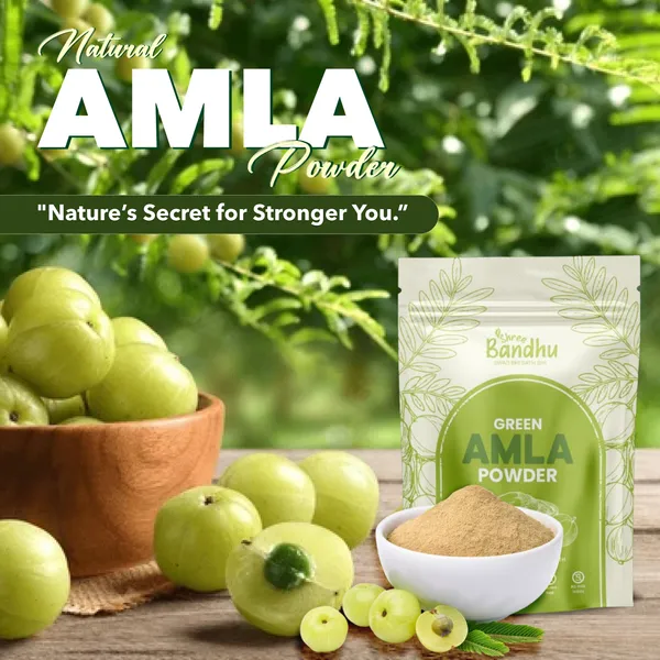 Amla_Powder_200_Gm_|_Pure_And_Natural_Supports_Immunity,_Enhances_Digestion