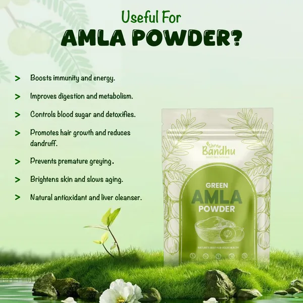 Amla_Powder_200_Gm_|_Pure_And_Natural_Supports_Immunity,_Enhances_Digestion