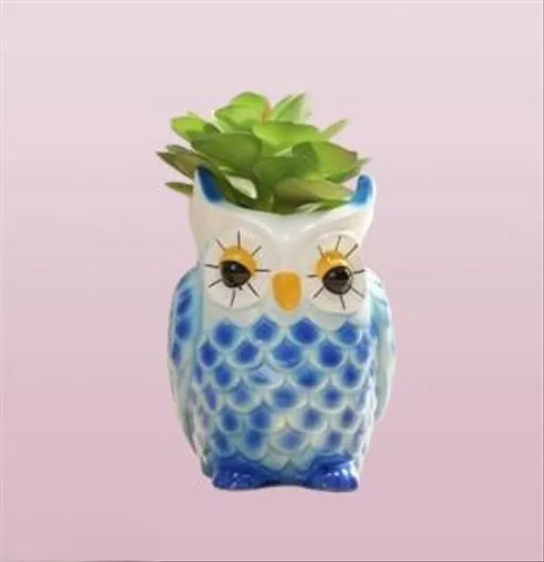 Decorative_Blue_Owl_Resin_Succulent_Planter_For_Home_And_Decor_Office_Desk