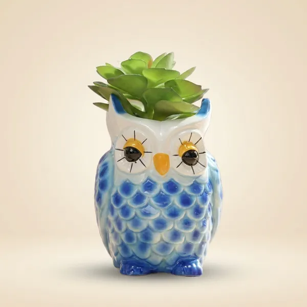 Decorative_Blue_Owl_Resin_Succulent_Planter_For_Home_And_Decor_Office_Desk