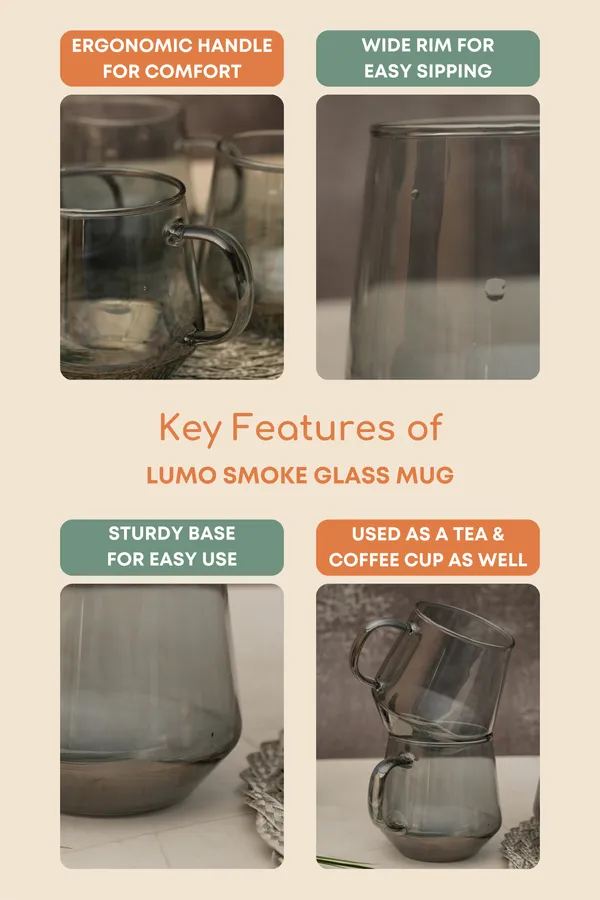 Lumo_Smoke_Glass_Mug_Set_Of_6_420Ml