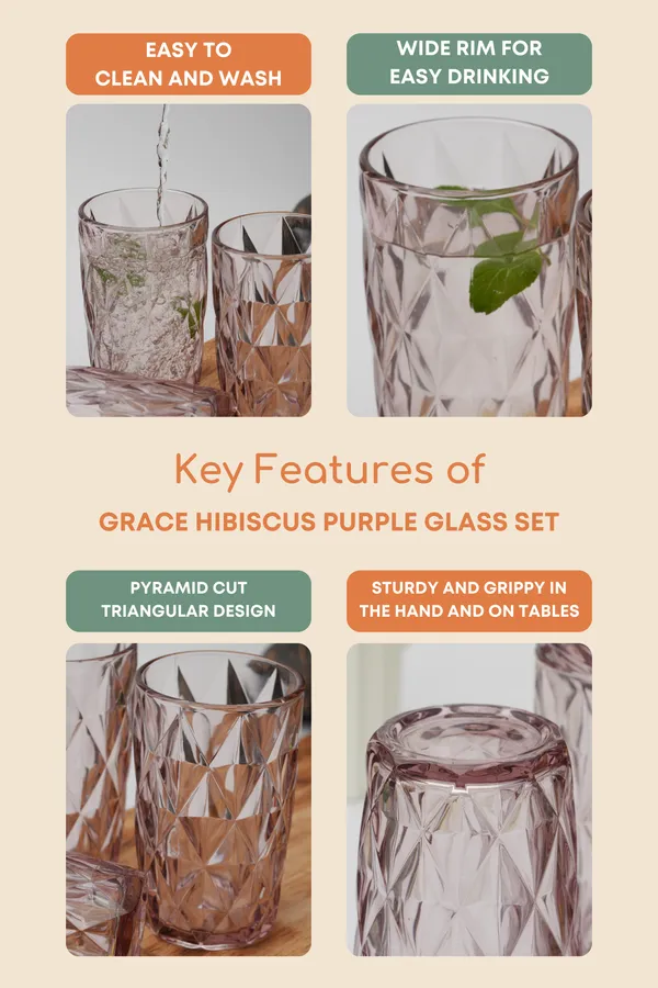 Hibiscus_Purple_Glass_Set_Of_6_400Ml