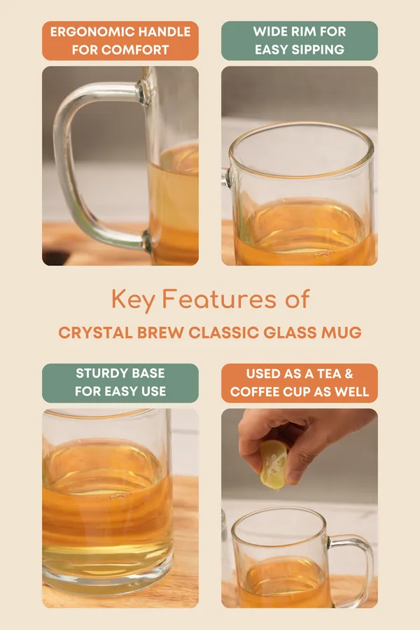 Crystal_Brew_Classic_Glass_Mug_Set_Of_6_350Ml