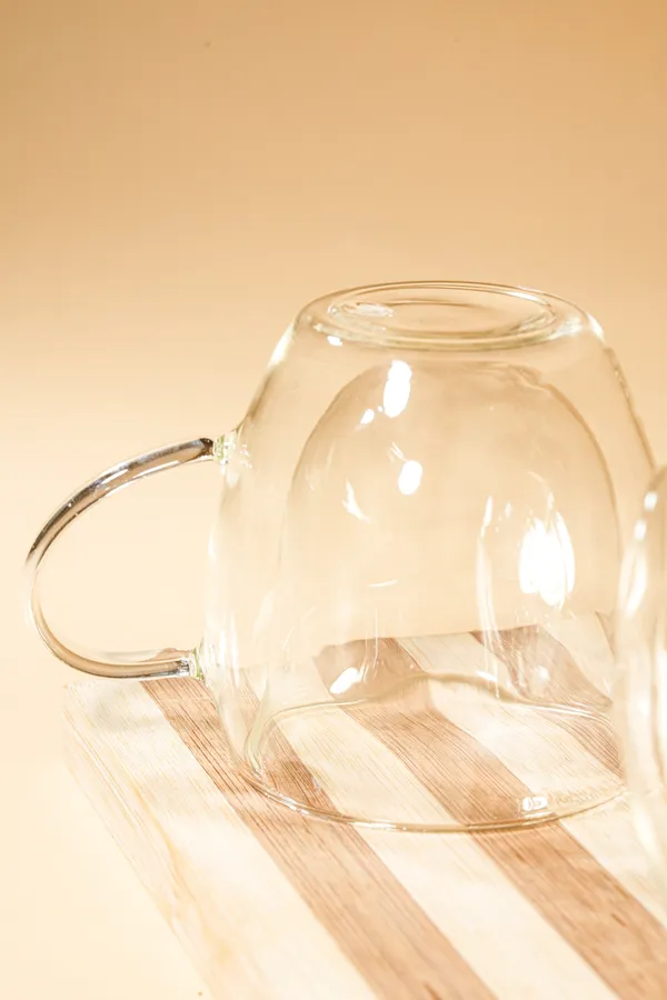 Therma_Bloom_Double_Wall_Glass_Mug_Set_Of_2_250Ml