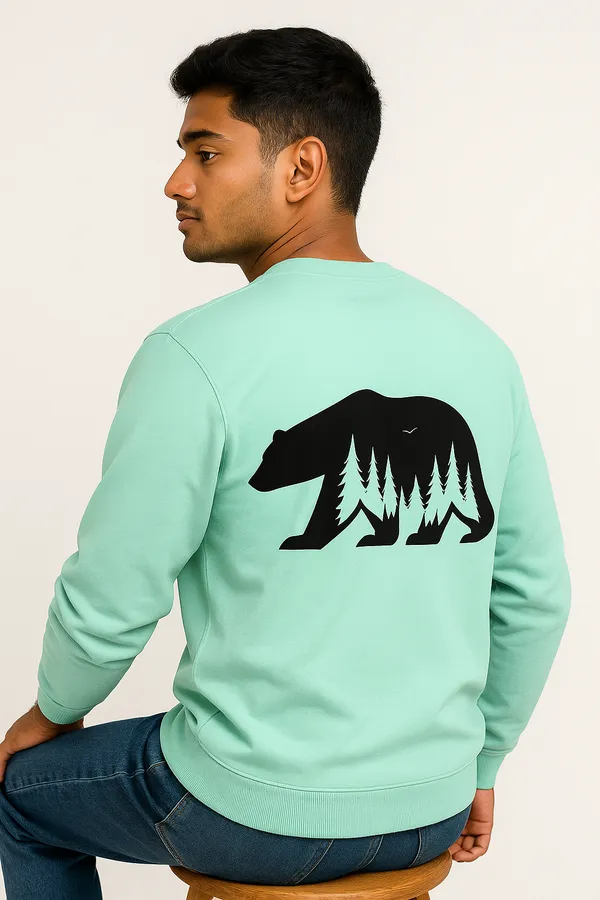 Mint_Green_Sweat_Shirt_For_Men