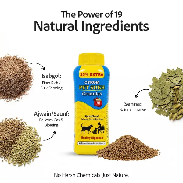 Pet_Digestive_Fiber_Supplement_Granules_Pack_Of_3