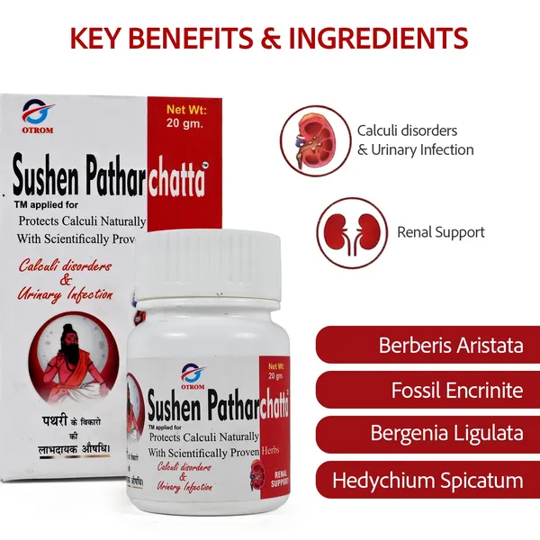 Patharchatta_Powder