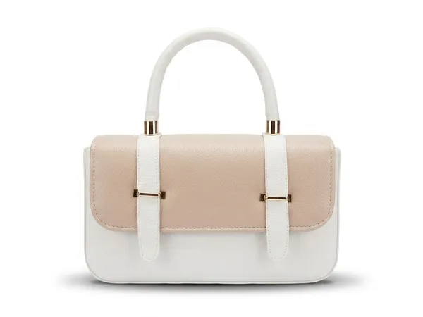 Luxe_White_And_Brown_Structured_Mini_Handbag_With_Top_Handle_And_Gold_Hardware
