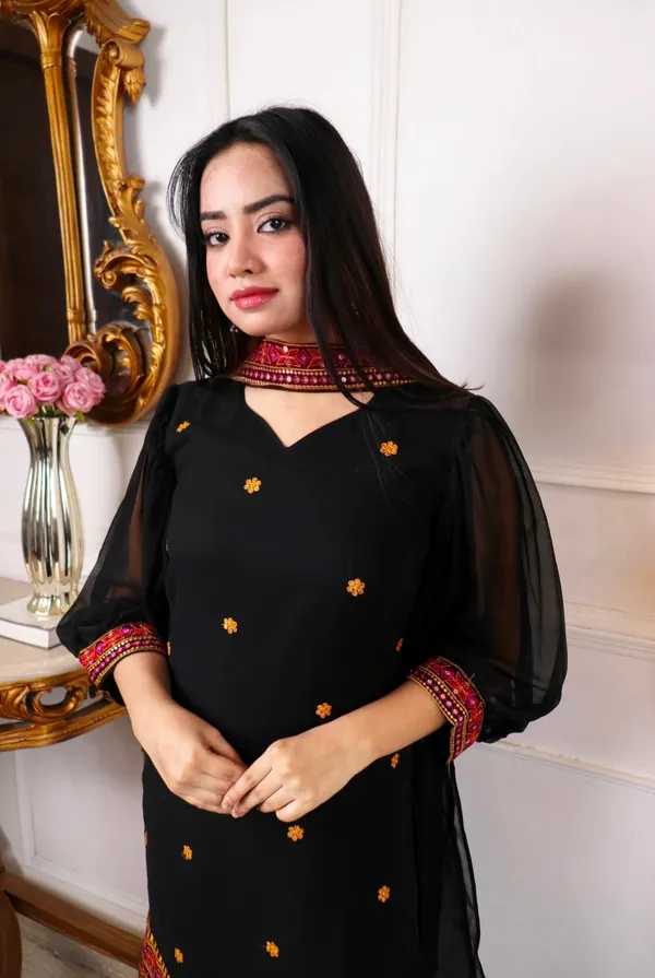 Elegant_Black_Ethnic_Suit_Set_With_Colorful_Embroidered_Border_And_Sheer_Dupatta