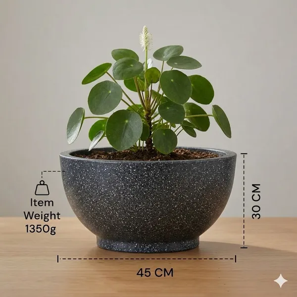 Shakya_||_18"_inch_Textured_Black_Lotus_Pots_||_Indoor&_Outdoor_Balcony_Planter