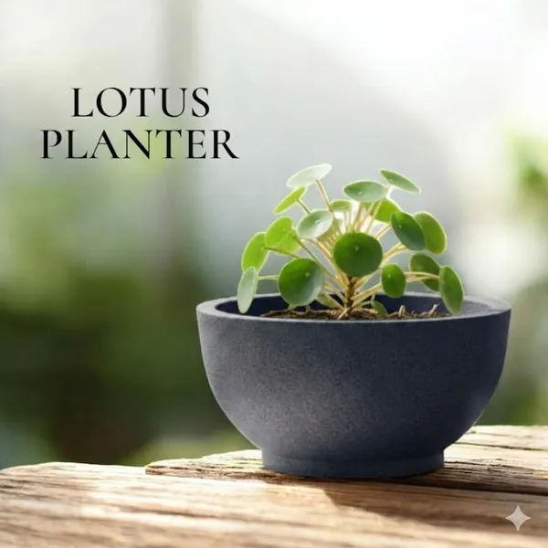 Shakya_||_18"_inch_Textured_Black_Lotus_Pots_||_Indoor&_Outdoor_Balcony_Planter