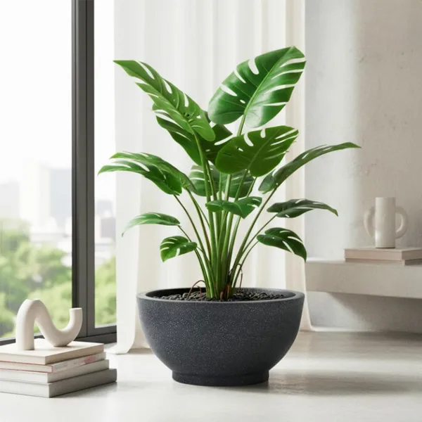 Shakya_||_18"_inch_Textured_Black_Lotus_Pots_||_Indoor&_Outdoor_Balcony_Planter