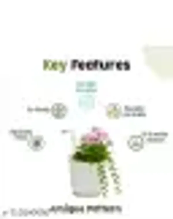 Dhuarndhar_Pack_Of_10_Multicolor_Hook_Pot_Balcony_Pots