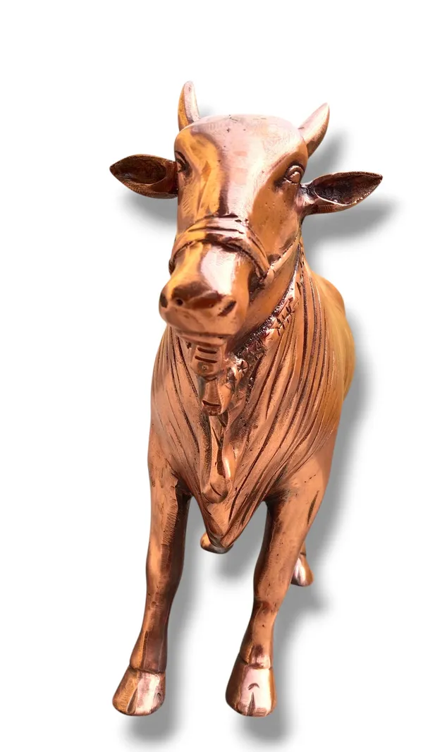 Grab_this_stunning_bronze_cow_sculpture,_a_masterpiece_of_craftsmanship_that_captures_every_intricate_detail—from_the_sleek_harness_to_the_textured_skin_folds—giving_it_a_lifelike_presence._The_rich_copper‑brown_finish_adds_a_luxurious,_antique_vibe_perfect_for_upscale_décor._Ideal_for_gifting_-_13