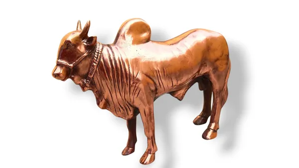 Grab_this_stunning_bronze_cow_sculpture,_a_masterpiece_of_craftsmanship_that_captures_every_intricate_detail—from_the_sleek_harness_to_the_textured_skin_folds—giving_it_a_lifelike_presence._The_rich_copper‑brown_finish_adds_a_luxurious,_antique_vibe_perfect_for_upscale_décor._Ideal_for_gifting_-_13