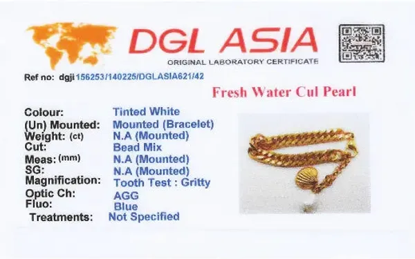 Shell_Chic_Bracelet_Golden