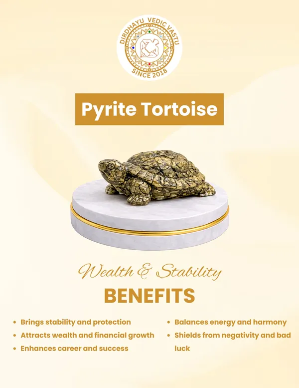Pyrite_Tortoise__-_Wealth_And_Stability_Symbol