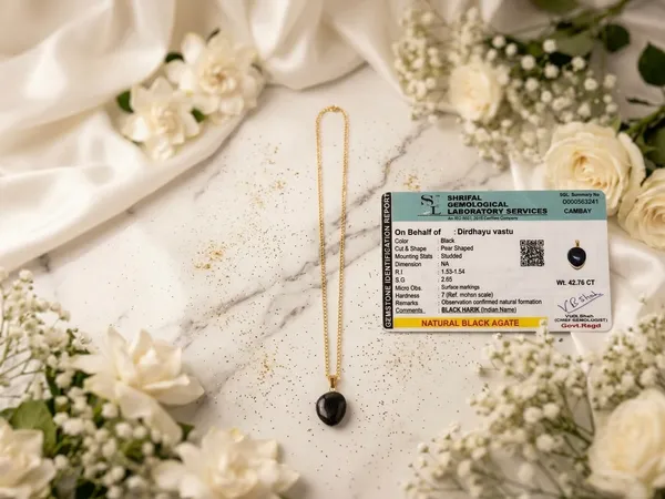 Elegant_Black_Stone_Pendant_Gold_Chain_Necklace