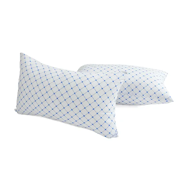 White_And_Blue_Polycotton_Pillow_For_Home_&_Decor