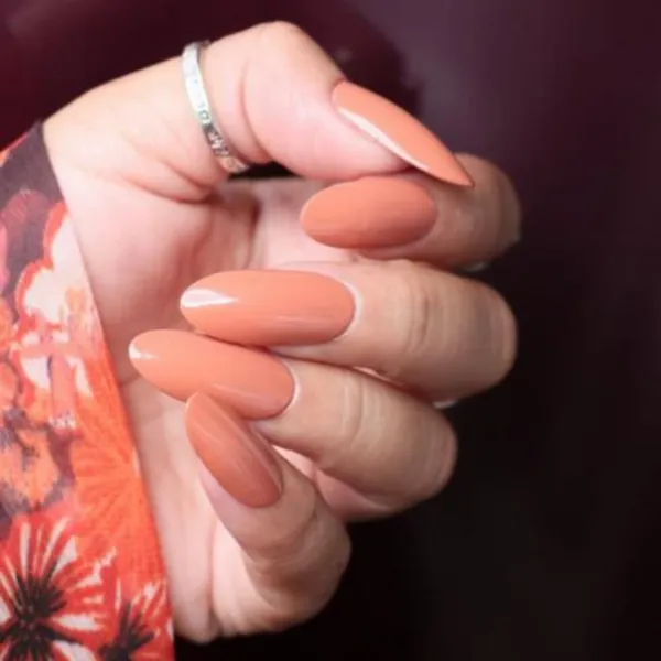 DeBelle_Fleur_De_Pearl_Gift_Combo_Of_2_Nail_Polishes_Natural_Blush_Maple_Tan_16_Ml