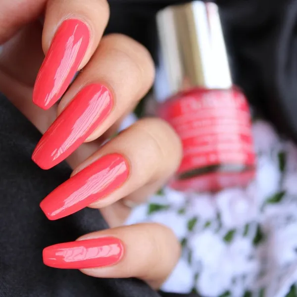 DeBelle_Gel_Nail_Lacquers_La_Joie_Combo_Of_25