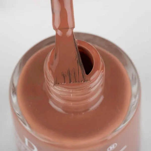DeBelle_Gel_Nail_Lacquer_Toffee_Rose_Choco_Brown_Nail_Polish_8_Ml