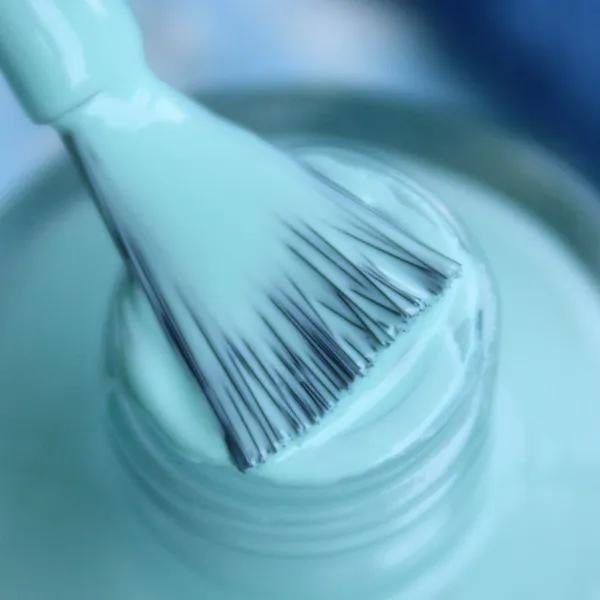 DeBelle_Gel_Nail_Lacquer_Mint_Amour_Lime_Lush_Nail_Lacquer_Remover_Wipes_Combo