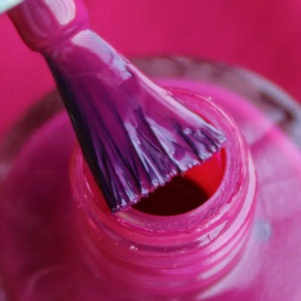 DeBelle_Gel_Nail_Lacquers_Combo_Of_2_Antares_Camellia_Berry