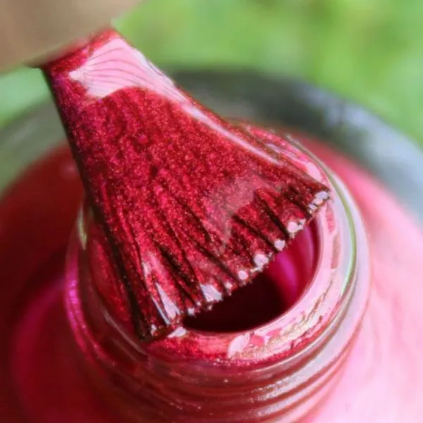 DeBelle_Gel_Nail_Lacquers_Combo_Of_2_Antares_Camellia_Berry