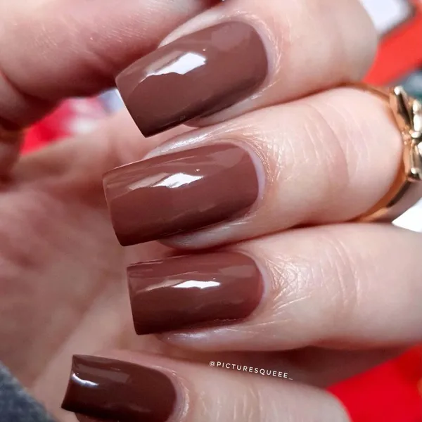 DeBelle_Gel_Nail_Lacquer_Rose_Taupe_Dark_Rust_Brown_Nail_Polish_8_Ml