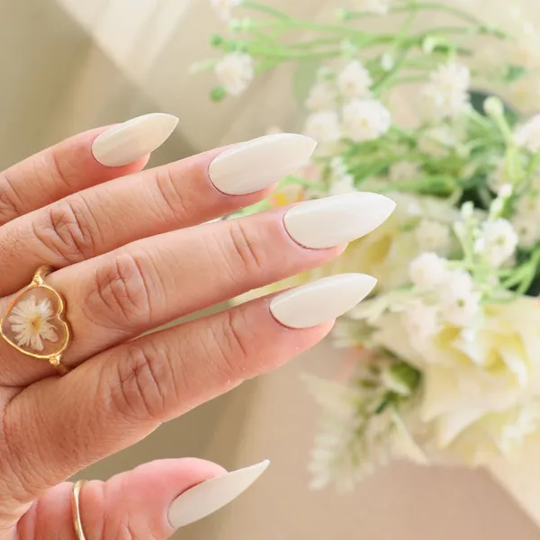 DeBelle_Gel_Nail_Lacquers_Combo_Of_2_Natural_Blush_Majestique_Mauve