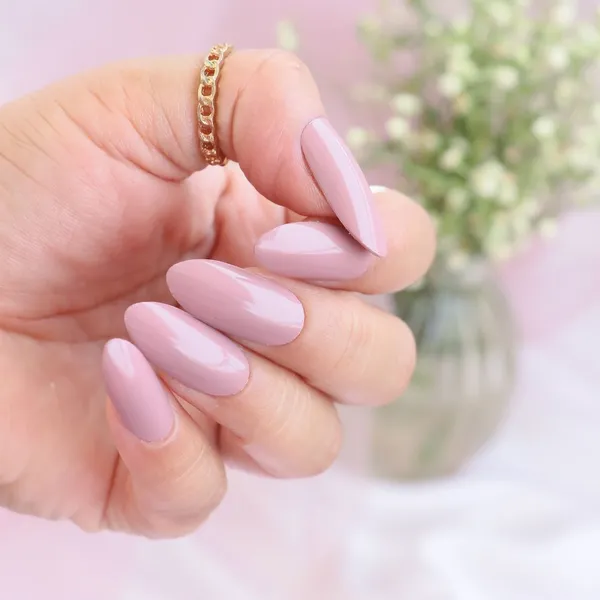 DeBelle_Gel_Nail_Lacquer_Blissful_Elizabeth_Light_Pink_Mauve_Nail_Polish_6_Ml