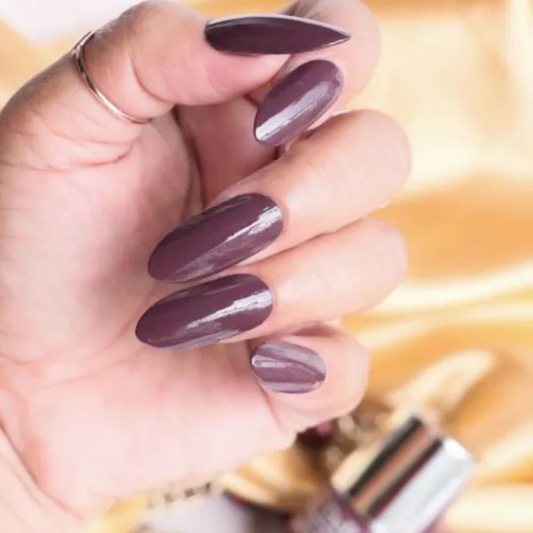 DeBelle_Gel_Nail_Lacquers_Combo_Of_2_Scarlet_Ruby_Plum_Toffee