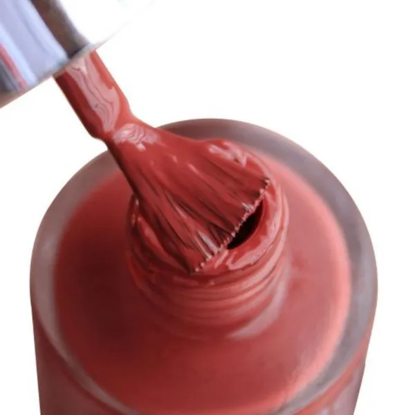 DeBelle_Gel_Nail_Lacquers_Combo_Of_2_Scarlet_Ruby_Plum_Toffee