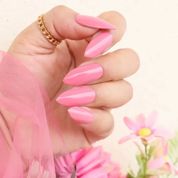 DeBelle_Gel_Nail_Polish_Combo_Pack_Of_2(_Inspiring_Ira,__Plush_Paula)