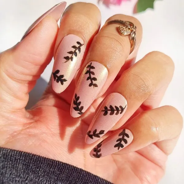 DeBelle_Gel_Nail_Polish_Combo_2_Delicate_Doris_Luxe_Noir