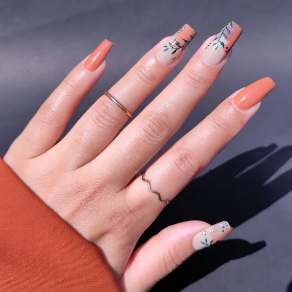 DeBelle_Gel_Nail_Polish_Combo_3_Maple_Tan_Hyacinth_Folio_Victorian_Beige