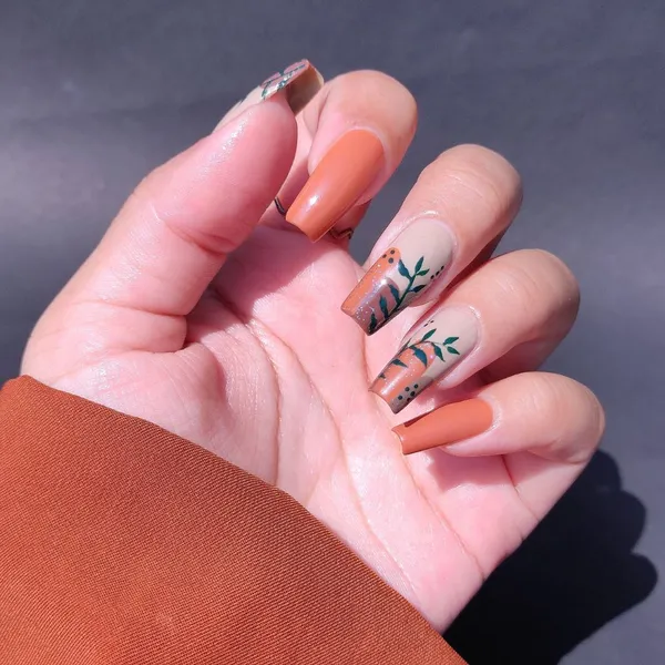 DeBelle_Gel_Nail_Polish_Combo_3_Maple_Tan_Hyacinth_Folio_Victorian_Beige