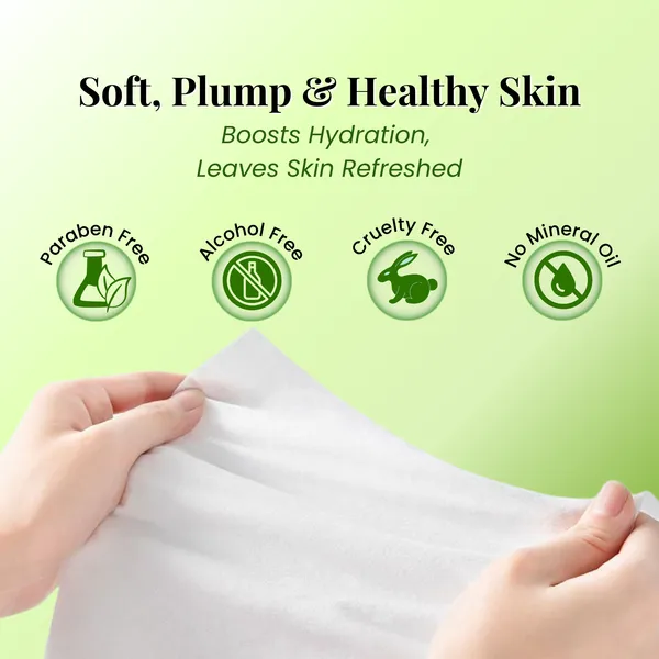 DeBelle_Makeup_Remover_Facial_Wet_Wipes_Deep_Cleansing_Nourishing_Hydrating_Wipes_For_All_Skin_Types