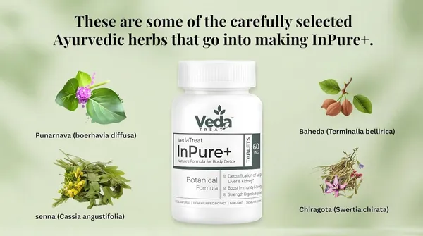 Inpure_Body_Detox_Tablets_Botanical_Formula_For_Daily_Detox_Support_60_Veg_Tablets