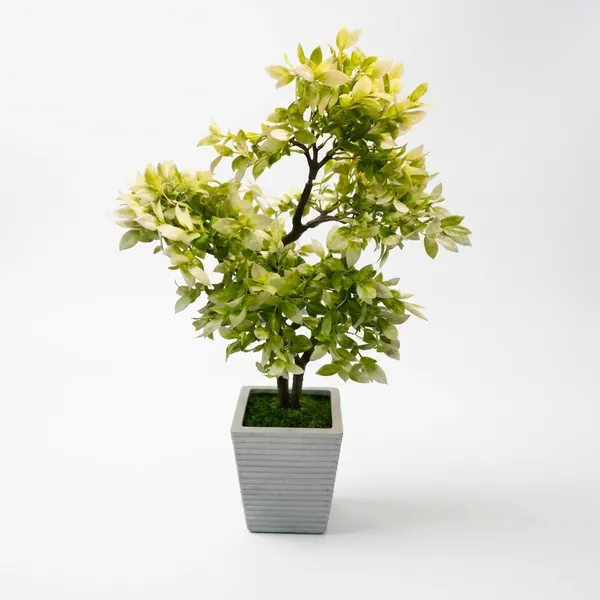 Green_And_White_Plastic_Artificial_Bonsai_Plant_With_Pot_For_Home_Decor_And_Indoor_Decoration