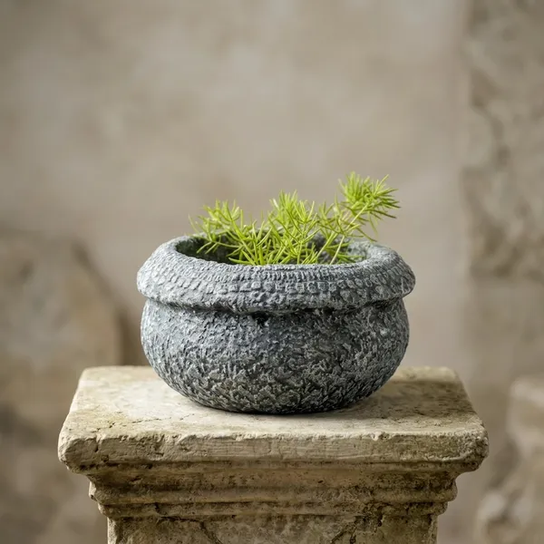 Mycelium_Bonded_Agri-waste_Handcrafted_Vase/Bowl__(8"x8"x3")with_Paper-Mache__Chiselled_Stone_Finish-Eco-Friendly_Sustainable_Decor_and_Natural_Design
