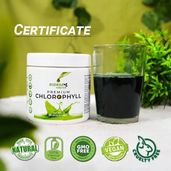 Premium_Chlorophyll_Powder_-_Natural_Green_Superfood_Supplement_(100G)