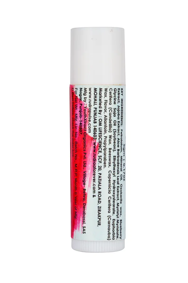 Rudraa_Forever_Natural_Lip_Balm_-_Blueberry_&_Jojoba_Flavored_Lip_Care_Pack_Of_4