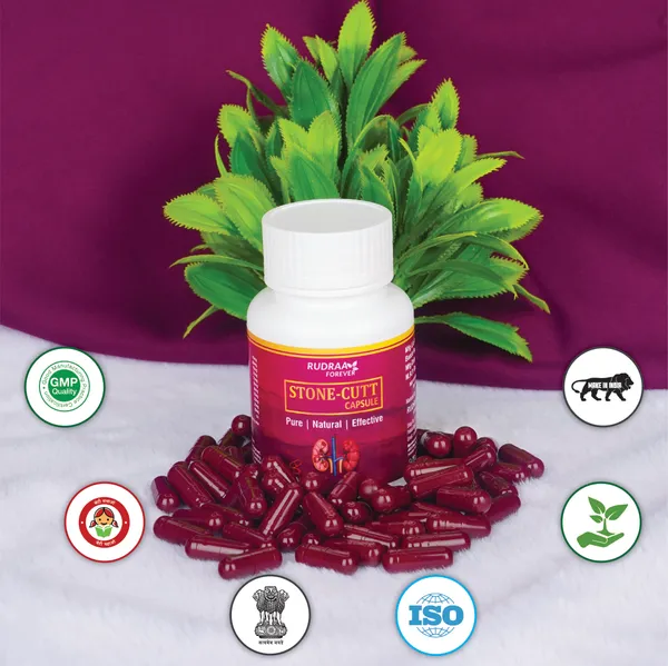 Stone-Cutt_Ayurvedic_Kidney_Stone_Relief_Capsules_-_60_Capsules_Pack_Of_4
